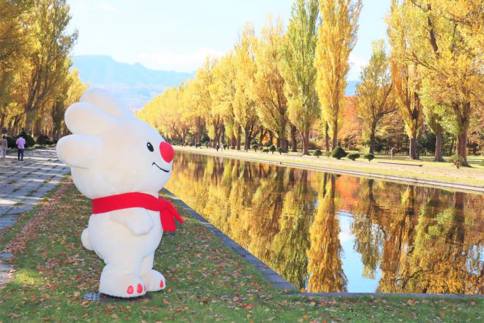 前田森林公園紅葉2