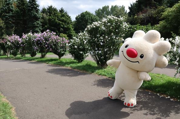 前田森林公園で遊ぶていぬの様子