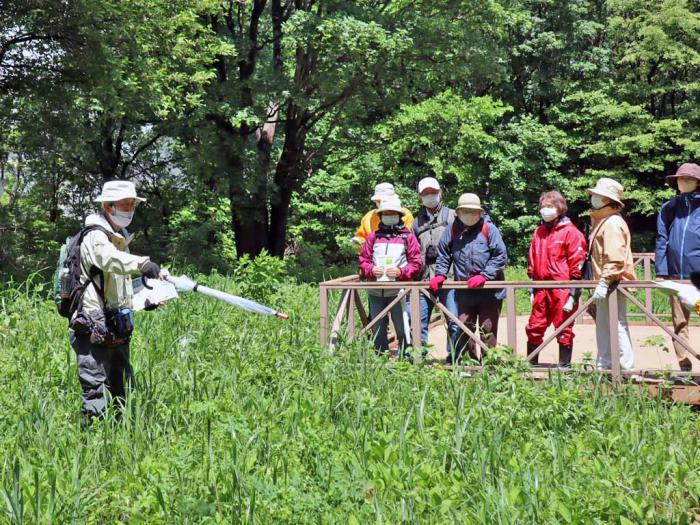 写真1:自然観察会の様子