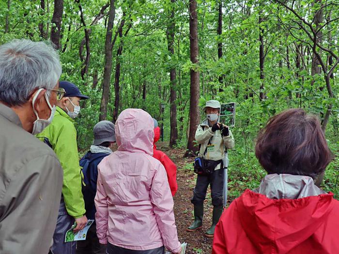 写真3:自然観察会の様子