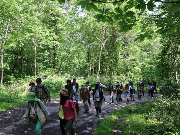 写真1:ウオーキングの様子