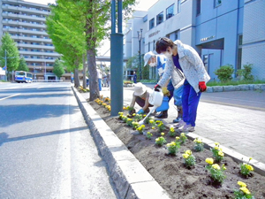 写真3:活動の様子