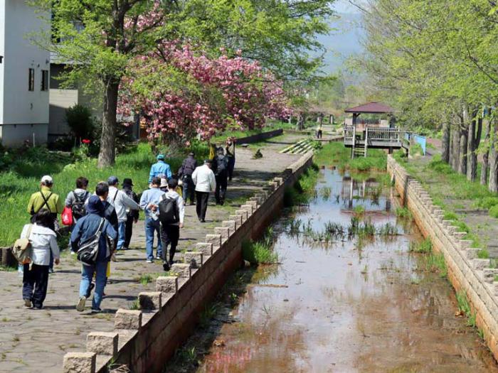 山口運河沿いのウオーキングの様子