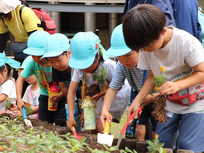 苗植会の様子4