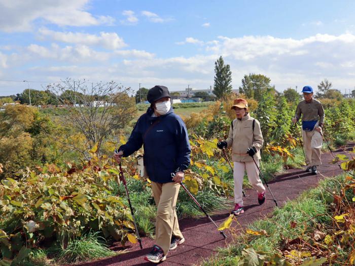 新川緑地の遊歩道でのウオーキングの様子