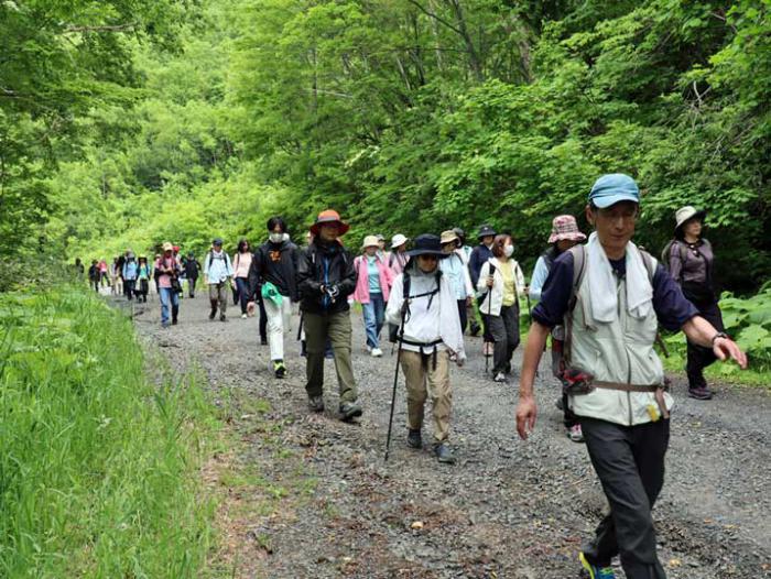 手稲山ウオーキングの様子4