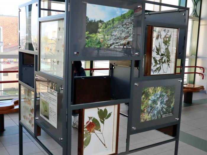 植物のパネル展示