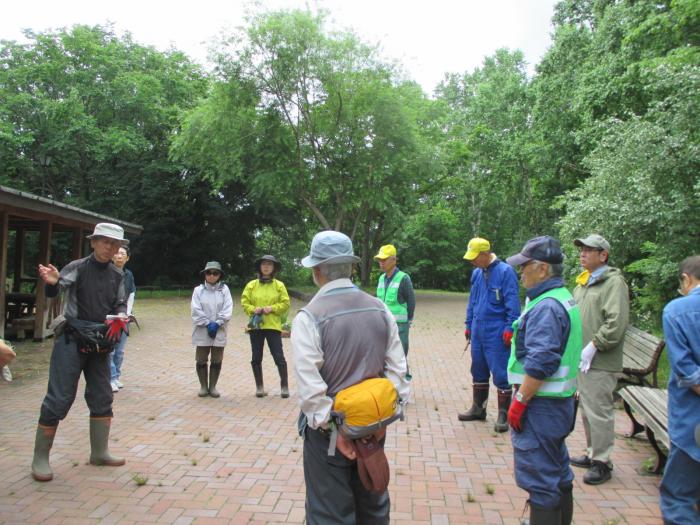 20150702富丘西公園保全作業の様子1