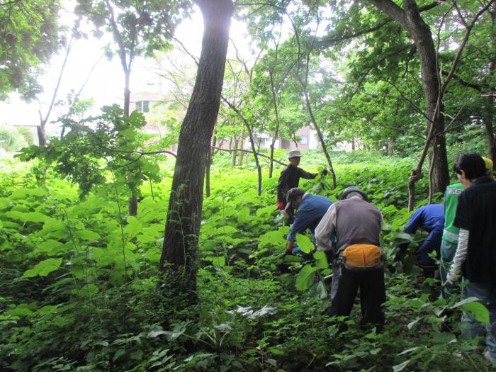 20150702富丘西公園保全作業の様子3