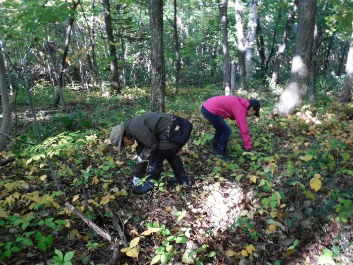 令和元年度稲穂ひだまり公園秋の大掃除の様子2