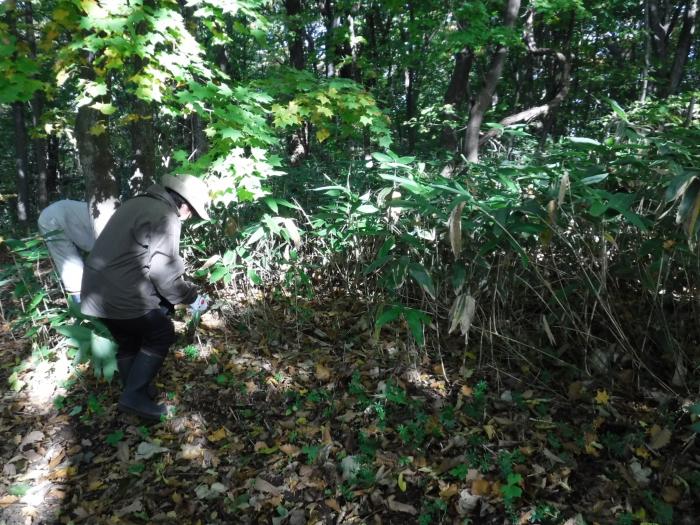 令和元年度稲穂ひだまり公園秋の大掃除の様子4