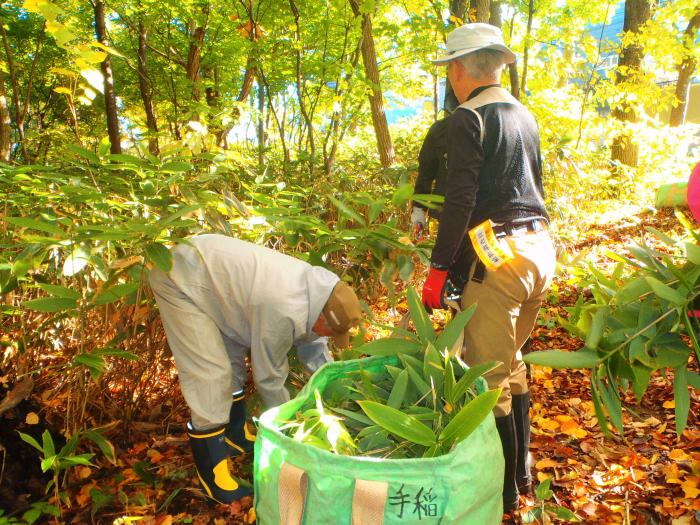 令和元年度稲穂ひだまり公園秋の大掃除の様子5