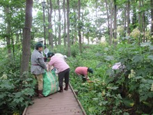 7月10日保全作業草抜き