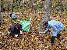 10月26日稲穂ひだまり公園秋の大掃除作業中3