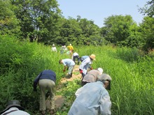 平成26年8月1日富丘西公園作業講習会木道わき刈込