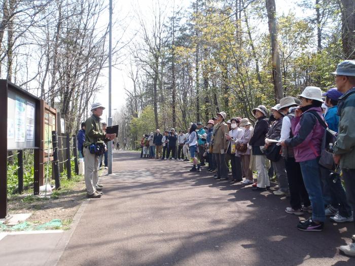 2015年4月26日星置緑地自然観察会の様子1