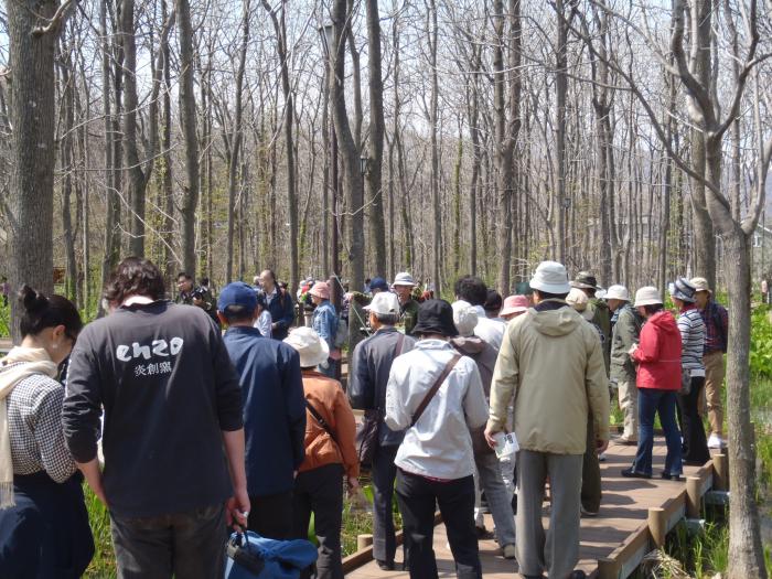 2015年4月26日星置緑地自然観察会の様子2