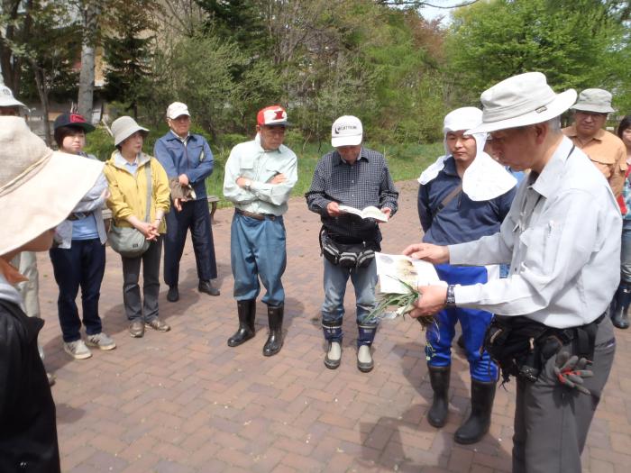 2015年5月3日富丘西公園保全作業の様子1