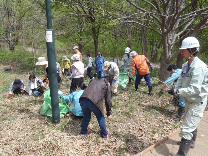 2015年5月3日富丘西公園保全作業の様子4