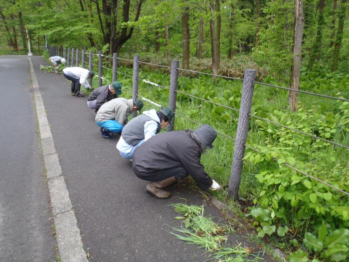 2015年5月14日の保全作業の様子4