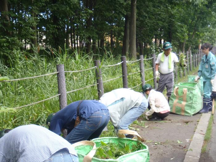 20150813星置緑地2