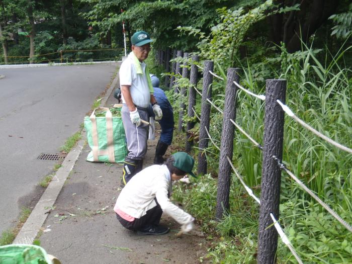 20150813星置緑地3