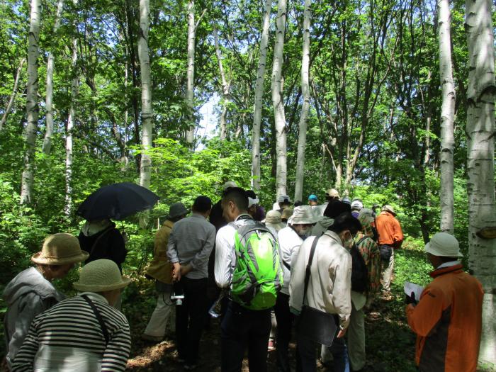 20160529富丘西公園自然観察会の様子6