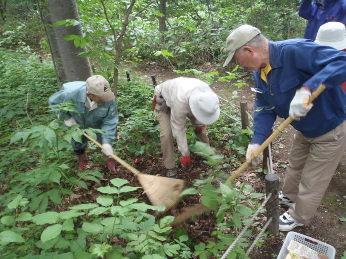 2016年6月16日稲穂ひだまり公園保全作業4