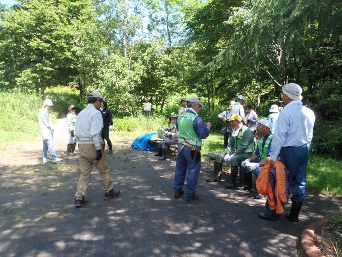 20160707富丘西公園保全作業の様子3