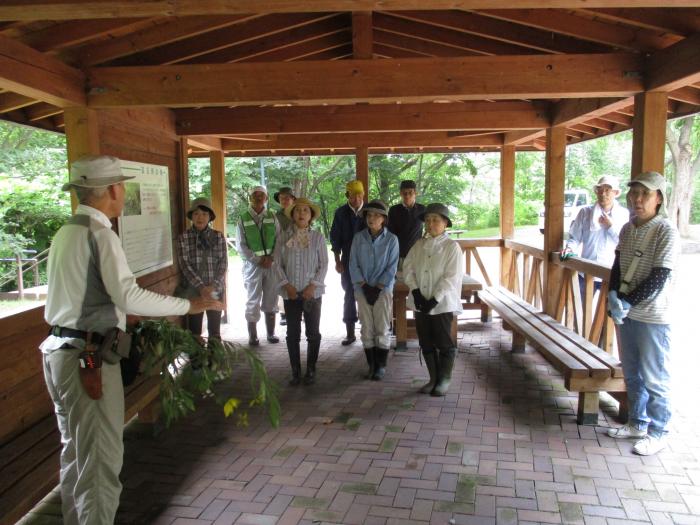 20160804富丘西公園保全作業の様子1