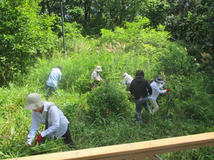 富丘西公園昨年度保全作業の様子1