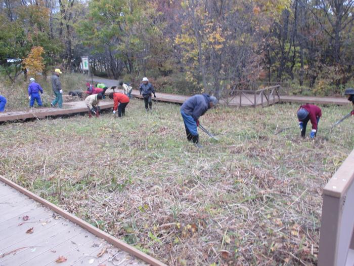 2016年度富丘西公園保全作業の様子5