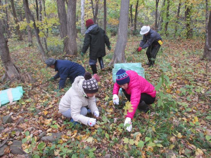 20161030稲穂ひだまり公園保全作業の様子3