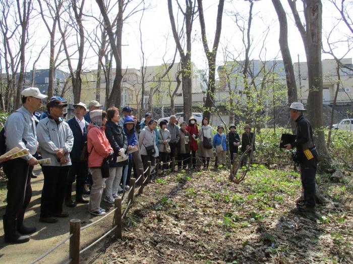 稲穂ひだまり公園自然観察会1