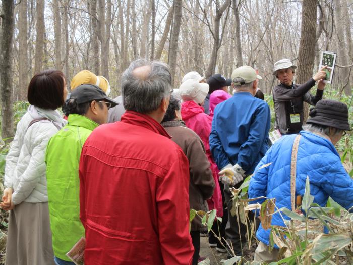 稲穂ひだまり公園自然観察会2