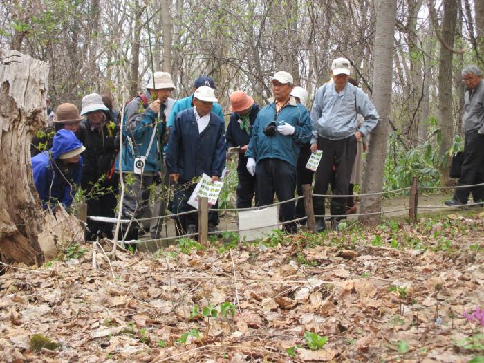 稲穂ひだまり公園自然観察会3