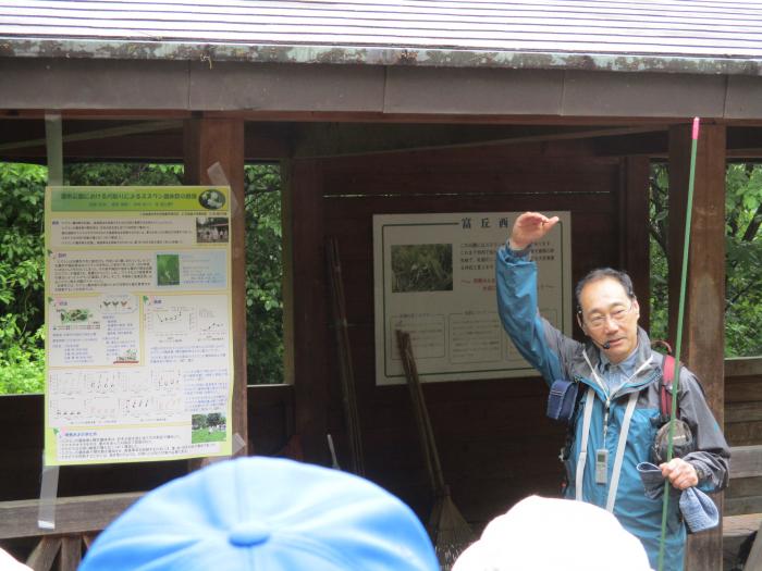 富丘西公園自然観察会の様子3