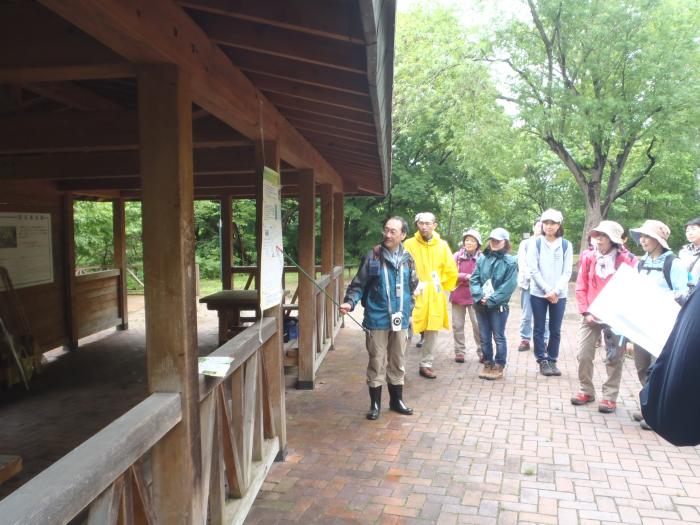 富丘西公園自然観察会の様子4