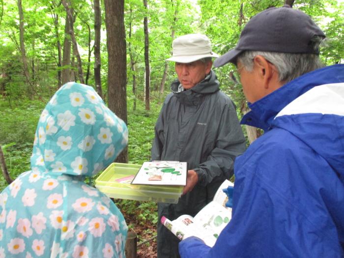 カタクリのタネ播き会の様子1