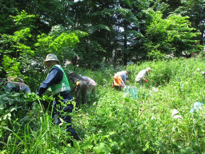 富丘西公園保全作業の様子5