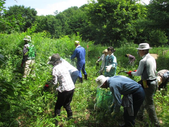 富丘西公園保全作業の様子3