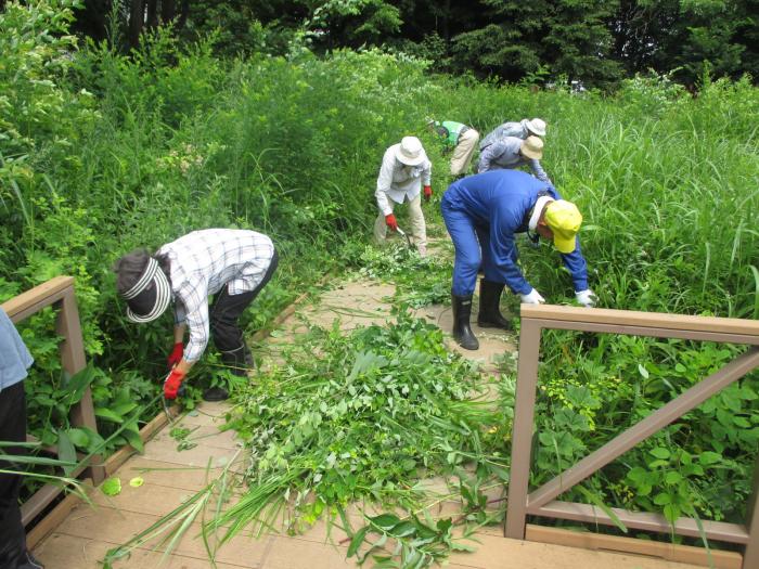 富丘西公園保全作業の様子4