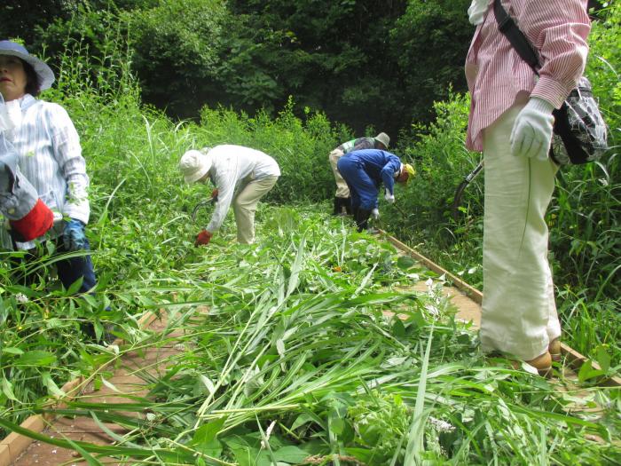 富丘西公園保全作業の様子5