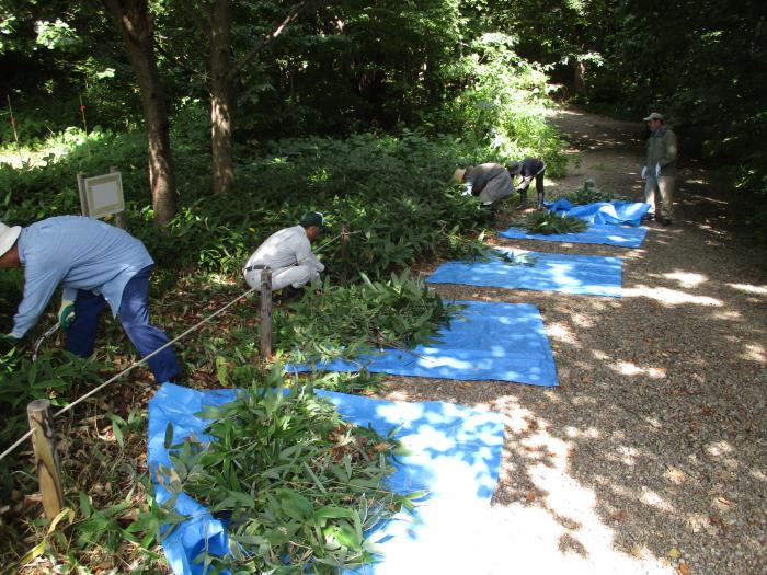 富丘西公園保全作業の様子4