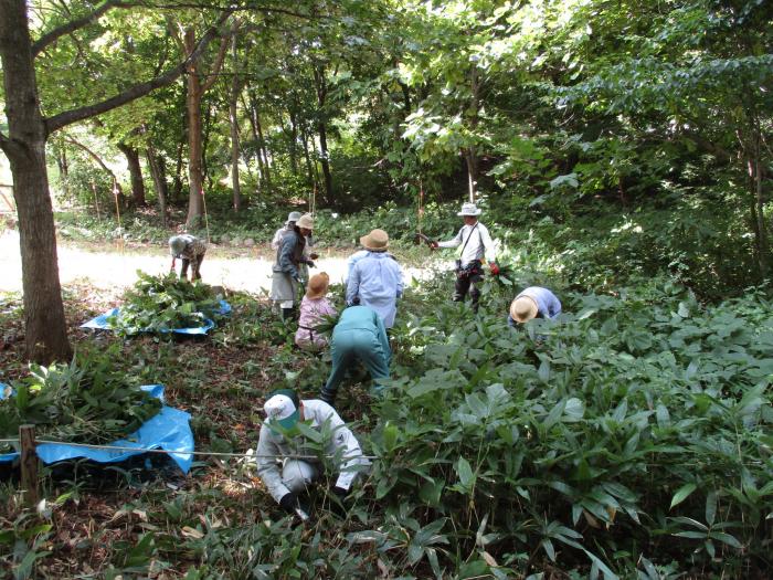 富丘西公園保全作業の様子5