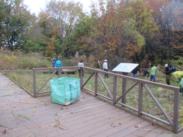 富丘西公園保全作業の様子4