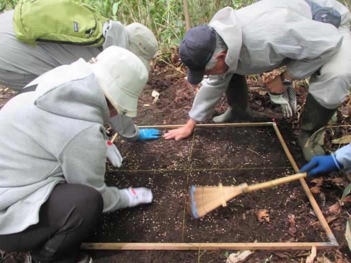 平成30年度稲穂ひだまり公園カタクリのタネ播き会の様子6