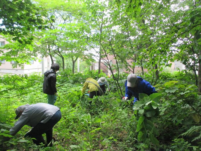 平成30年7月6日富丘西公園作業講習会3