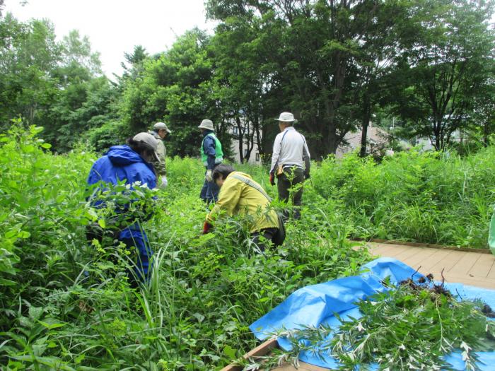 平成30年7月6日富丘西公園作業講習会7