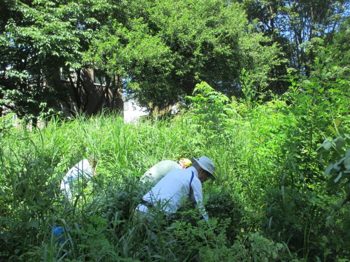 平成30年8月2日富丘西公園保全作業の様子4